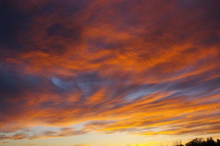 Living Skies